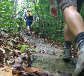 pantang larang masuk hutan