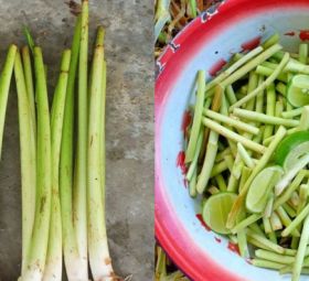 sayur keladi